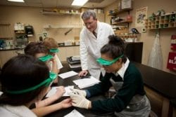 Students learn in a science classroom