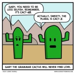 Gary the grammar cactus will never find love