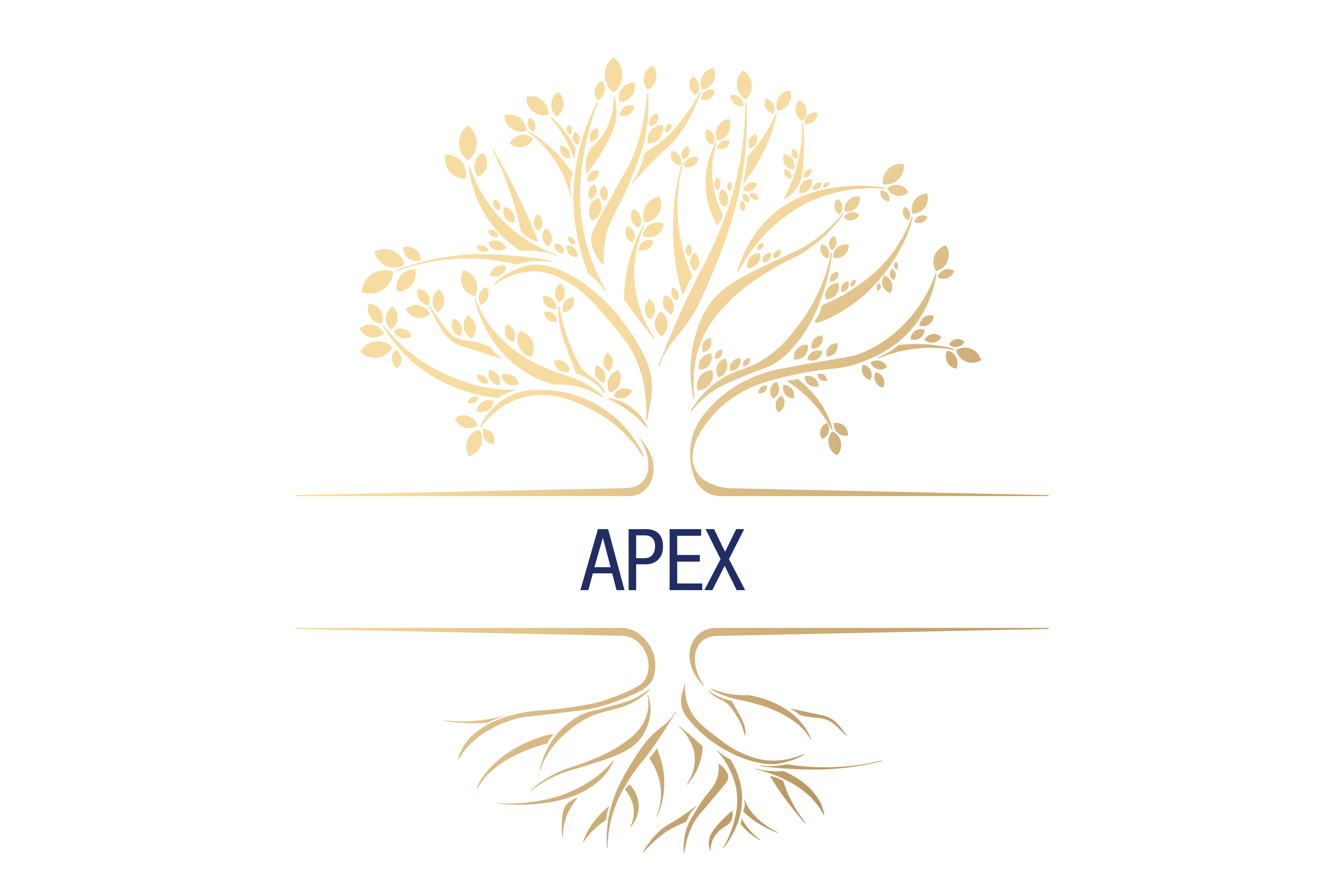 APEX – Program for School Leadership 