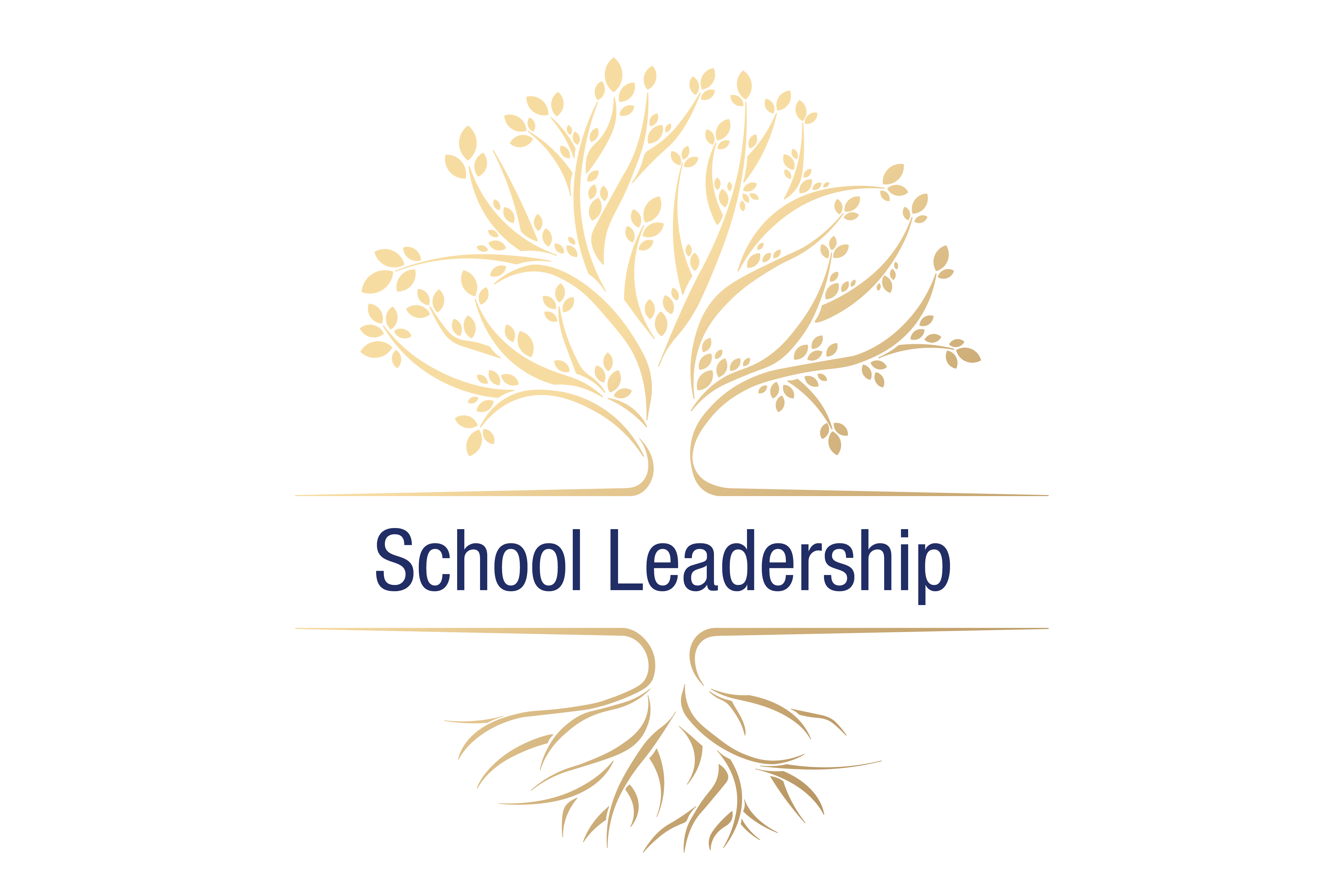 School Leadership Opportunities 
