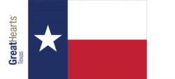 texas flag