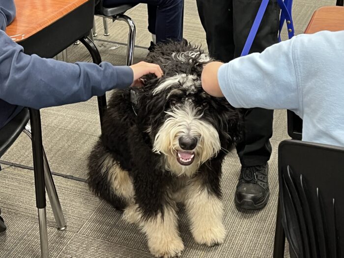 Archway Glendale Therapy Dog