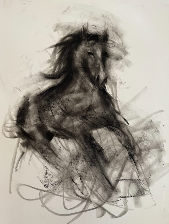Charcoal sketch of a horse