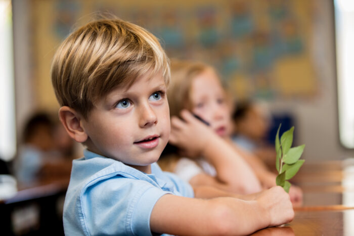 Kinder boy holding a branch