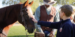 Male student petting a horse