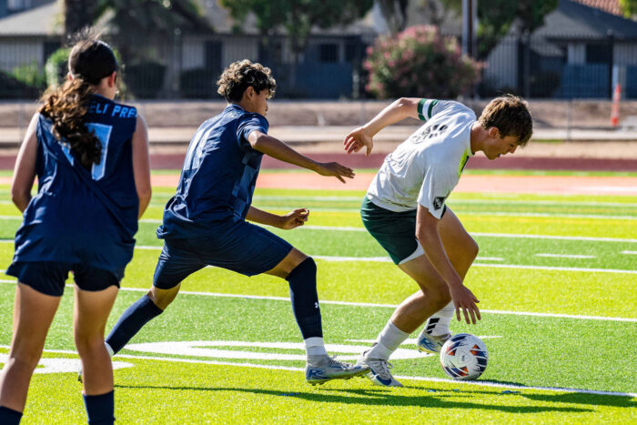 Soccer players on a field