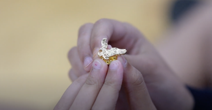 Golden Eagle Pin