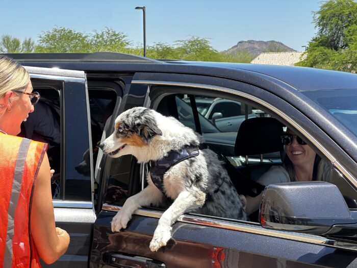 Dog in car windwo greeting a staff member
