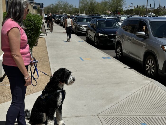 Mabel the dog on the sidewalk with kids in background