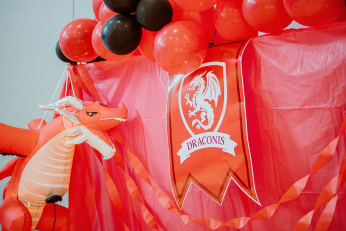 Draconis backdrop at house sorting