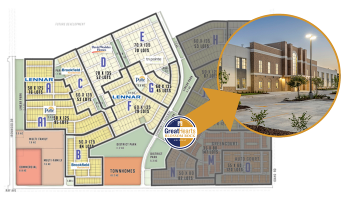 Blossom Rock Map with Projection