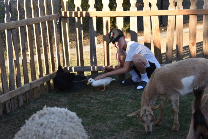 Student in petting zoo